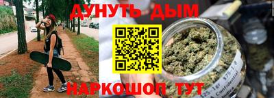 индика Камень-на-Оби