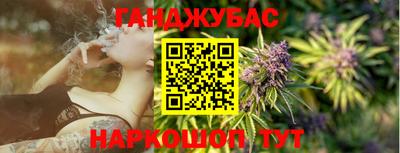 индика Камень-на-Оби