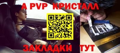 индика Камень-на-Оби
