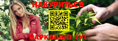 индика Камень-на-Оби