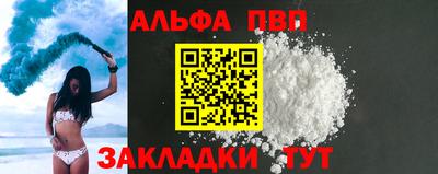 индика Камень-на-Оби