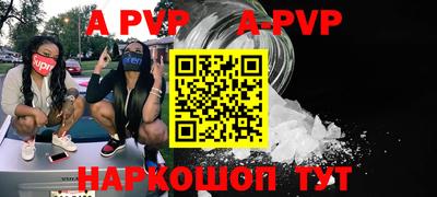 индика Камень-на-Оби