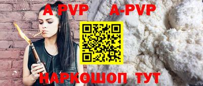 индика Камень-на-Оби