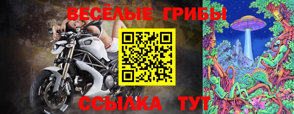 Галлюциногенные грибы Psilocybe  Галлюциногенные грибы Psilocybine cubensis  Алапаевск  купить наркоту  Вход с VPN 